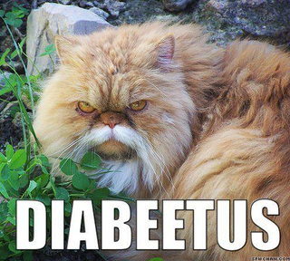 Illustration for article titled Stupid, stupid diabeetus.